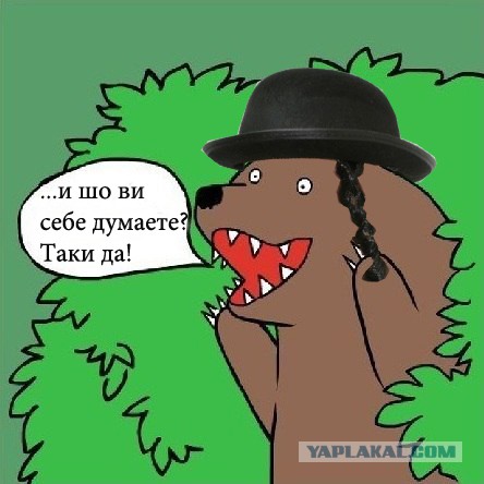 Медведи почти на все случаи жизни