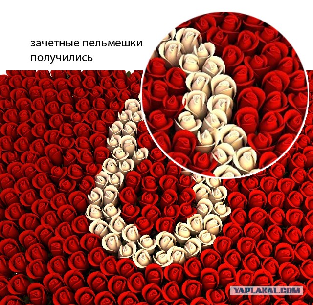 С международным вас женским днём.....
