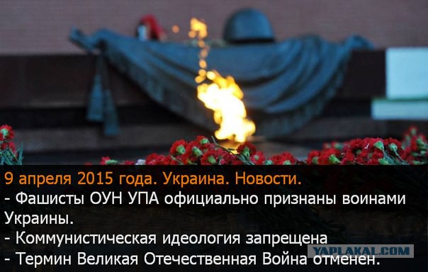 Политическая солянка #2