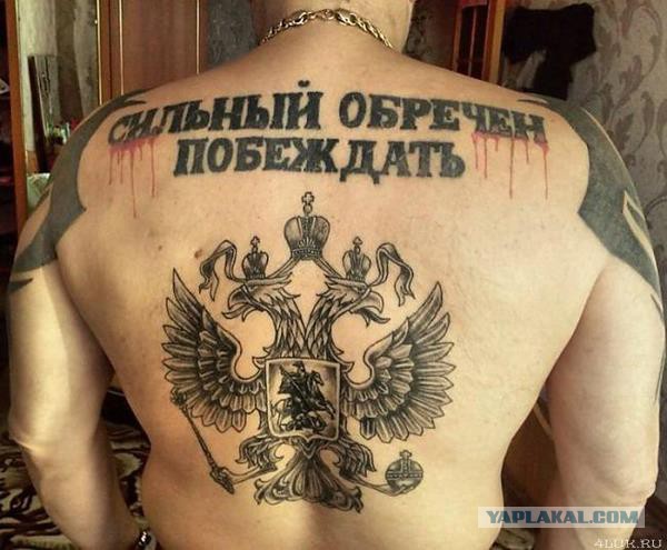 Картинок из сети немножко
