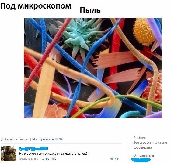 Ужасы и приколы из соцсетей 18+