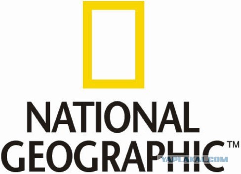 Лучшие фотографии от National Geographic за ноябрь