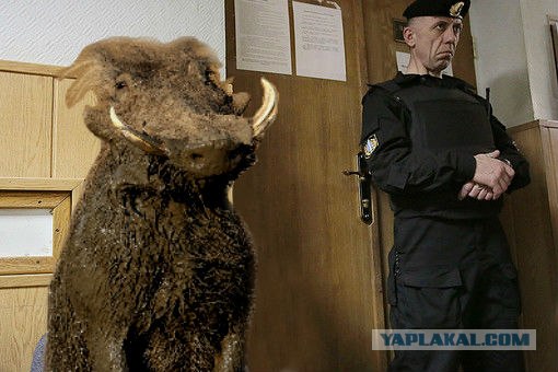 Суровое лицо закона