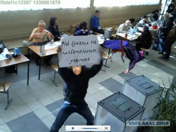 За кого голосовали? Выборы 2012