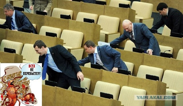 Кнопкодавы