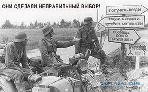 Отчеты о войне