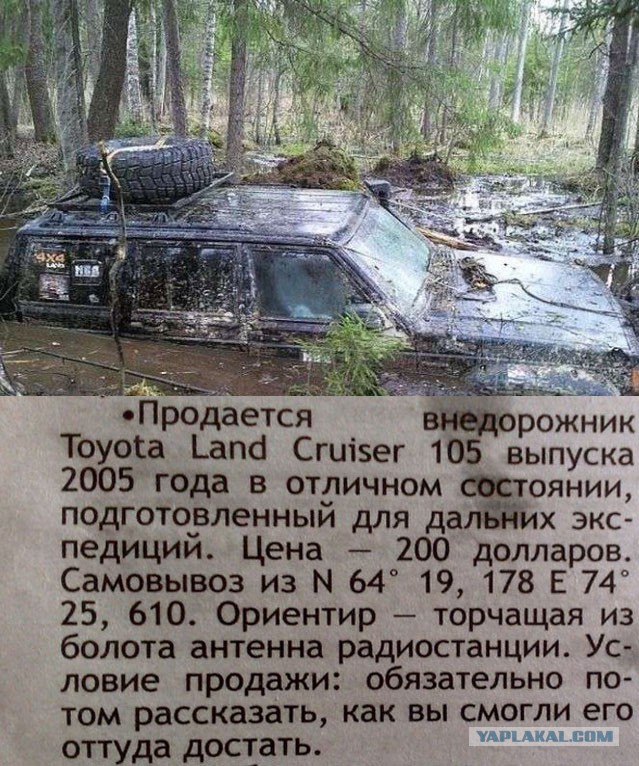 Подборка автоприколов.
