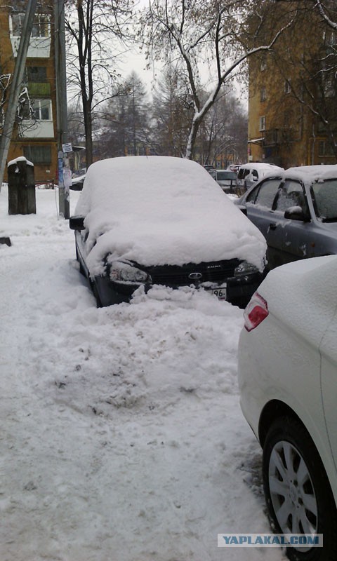 Последствия аномально теплой погоды в Москве