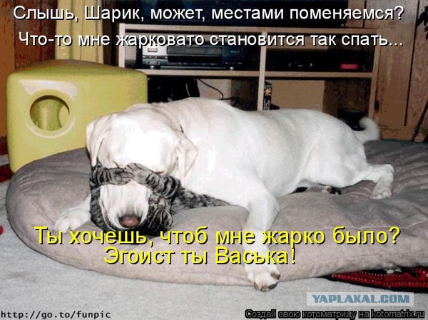 Разности в картинках