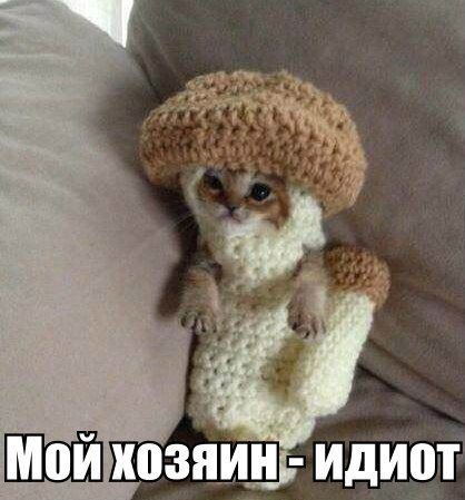 Мохнатые беспредельщики