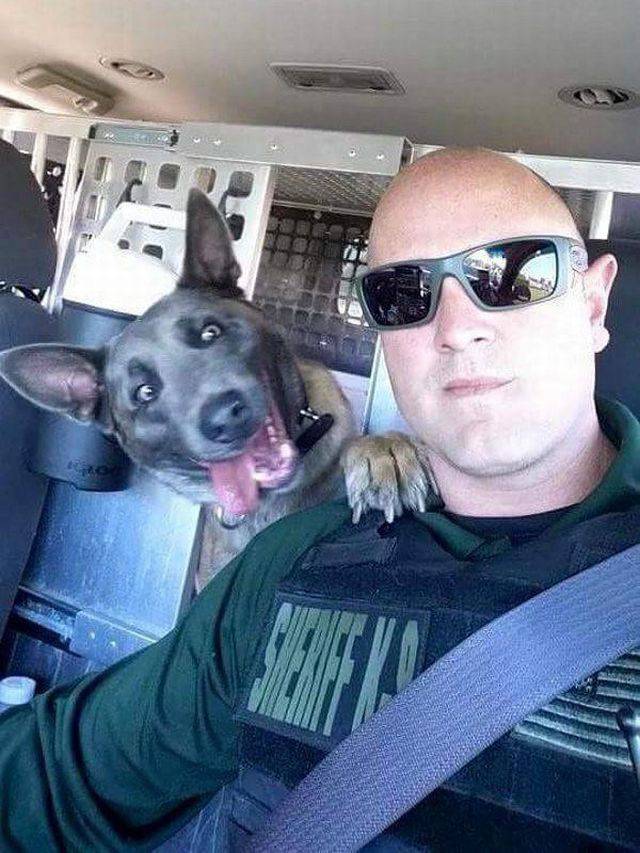 Подборка интересных и веселых картинок