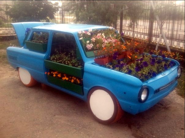 Картинки разные.