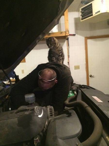 Автоюмор