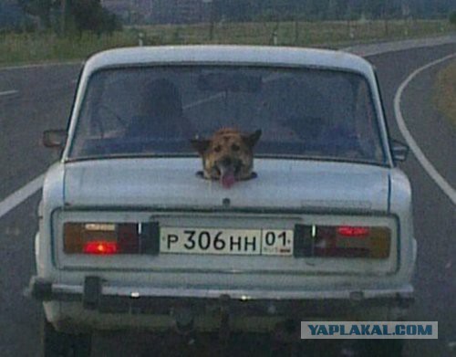 Это Россия, детка!