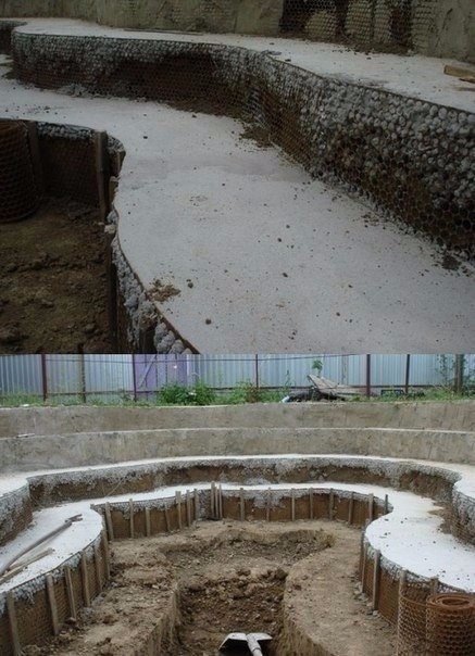 Картинки всякие