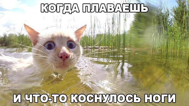 Подборка картинок с просторов...