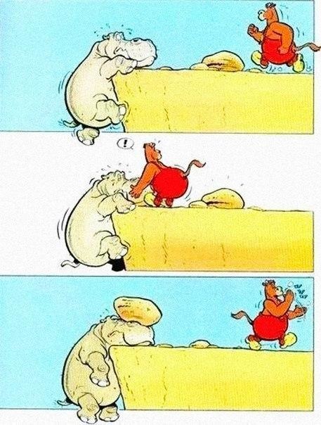 Весёлые картинки
