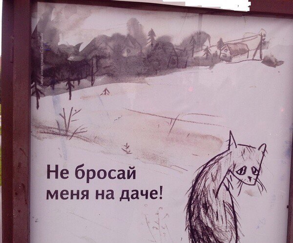А вы забрали своих питомцев с дачи?