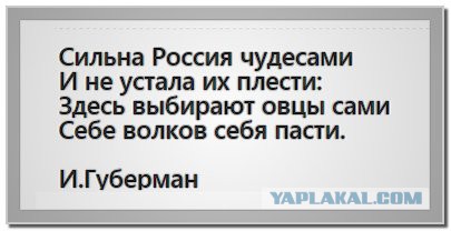 За кого голосовали Вы?