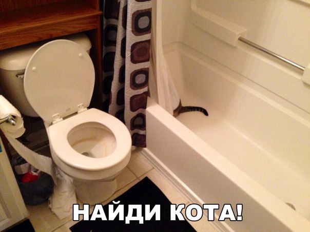 Порция картинок из сети