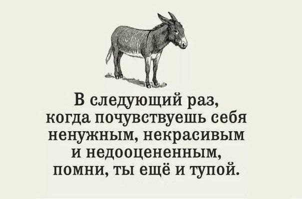 Немного смешных картинок для настроения. 16+