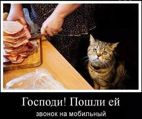 Картинки, интересные и веселые
