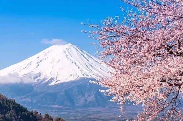 Моменты, запечатлённые на фото и просто позитив 5