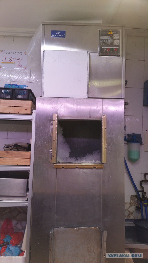 Настоящая Испания изнутри: на местный рынок за продуктами