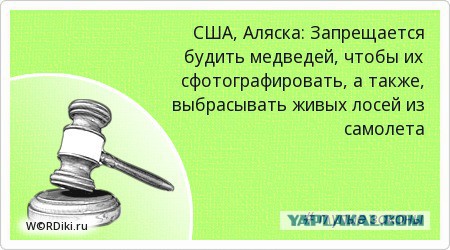 15 проверенных мною мифов об Америке