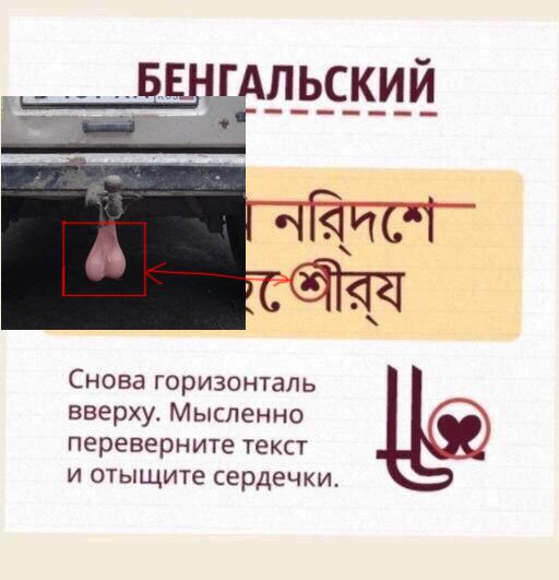 Как различаются восточные языки