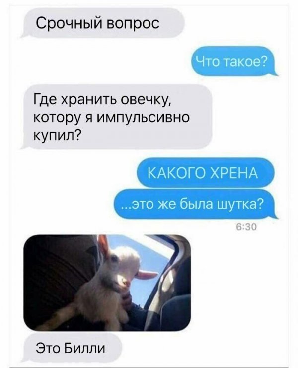 Нестандартный юмор