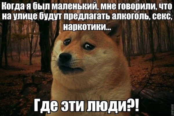 Работу кончай, пост с картинками открывай!