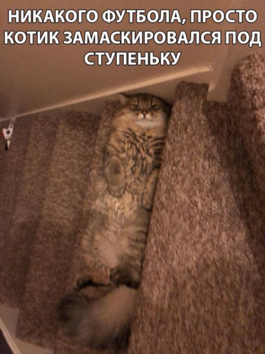 Нестандартный юмор
