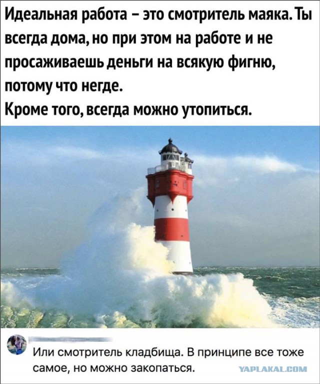 Анекдоты, соц-сети и картинки с надписями