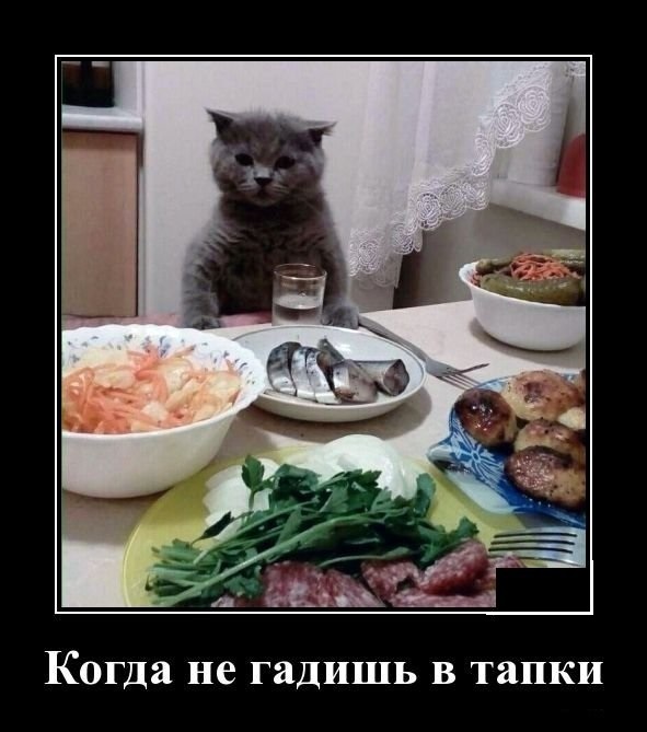 Картинки в рамках с надписями