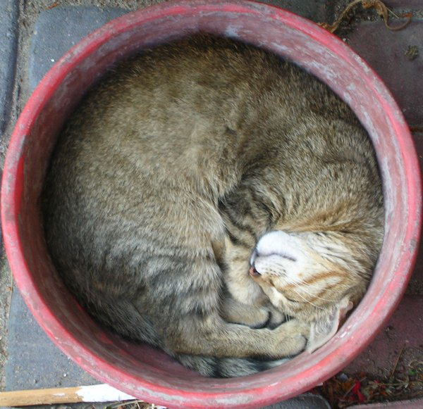 Просто 45 фоток