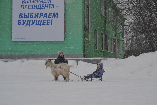 Жил был у фермерши серенький козлик