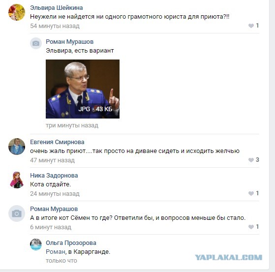 Помогите вернуть кота! Приют "Преданное сердце" украл кота и не отдает!