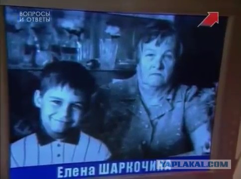 13 вопросов из «Что? Где? Когда?», которые не взяли знатоки, а вы сможете