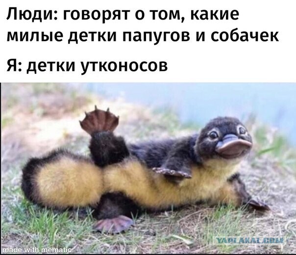 Бредзона 17.01.2020