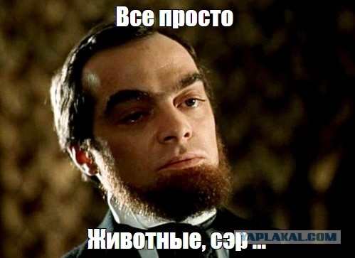 "Замечательные" соседи