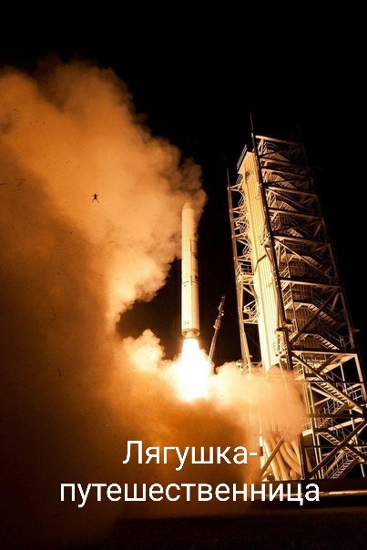 Немного картинок для настроения 01.06.20
