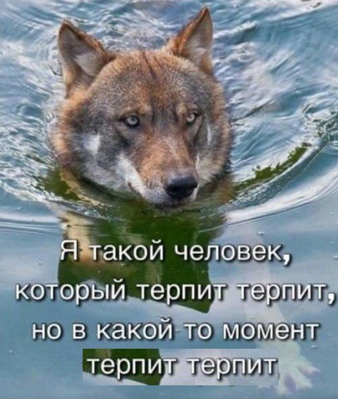 Юмор в картинках 24.07.20