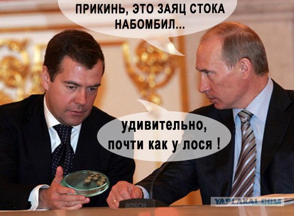Удивительное рядом