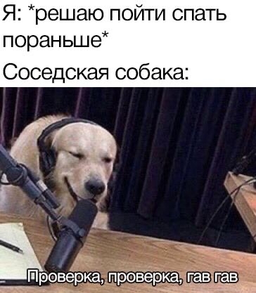 Бредзона 19.09.20