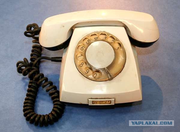 Власти Москвы объяснили требование о телефонах ушедших на удаленку