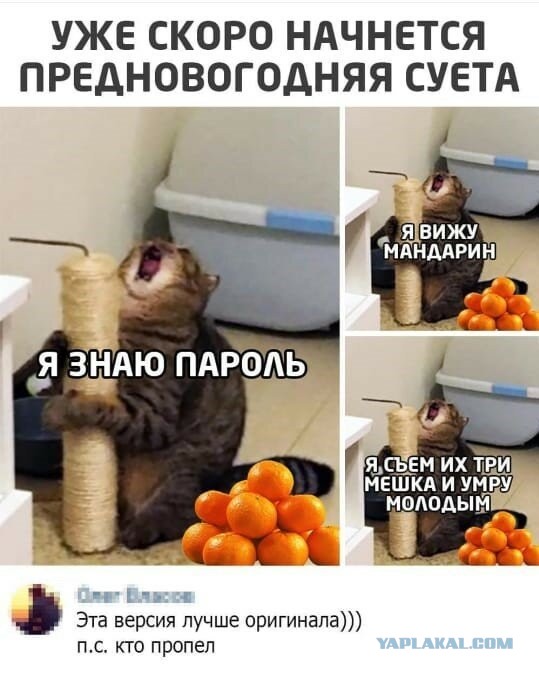 Юмор в картинках 11.12.20