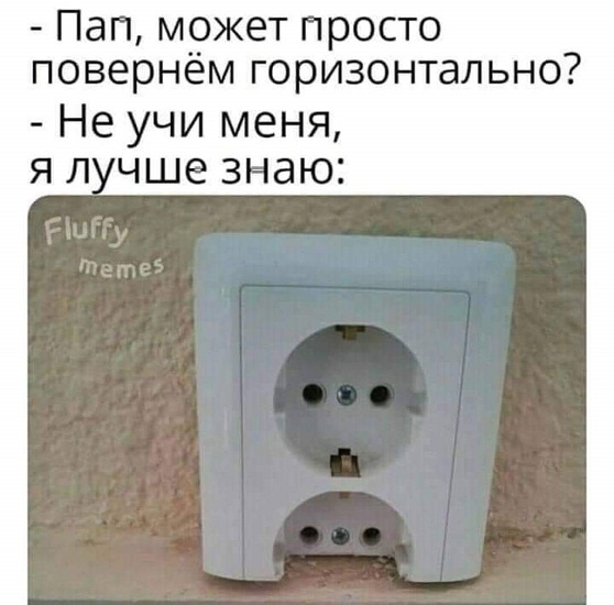 15107496.jpg