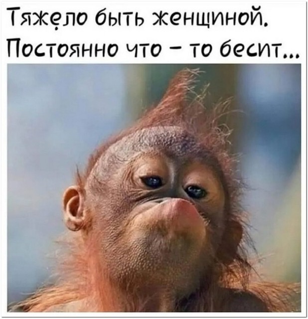 Бредзона 02.02.21