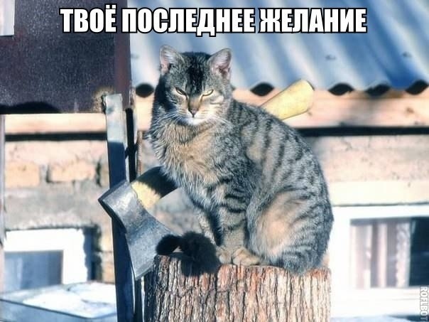 Так себе картинки 17.03.21